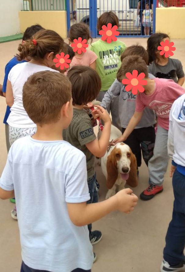 Πρόληψη των Παιδικών Ατυχημάτων από Ζώα